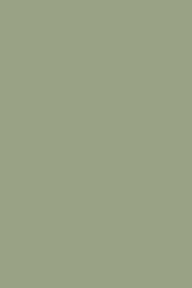 Lichen - Farrow & Ball