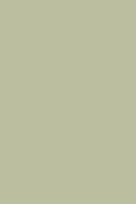 Vert De Terre - Farrow & Ball