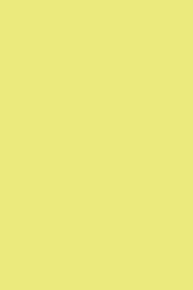Yellowcake - Farrow & Ball